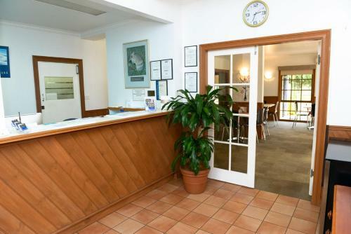Bandicoot Motor Inn Hamilton