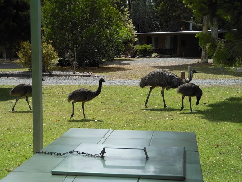 Hotel Grampians View Cottages And Units