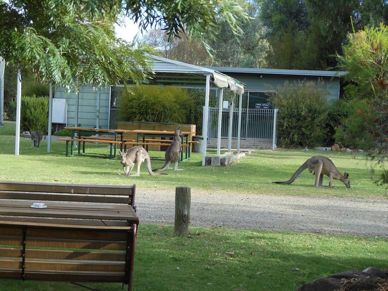 Hotel Grampians View Cottages And Units