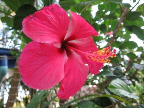 Mission Beach Hideaway Holiday Village