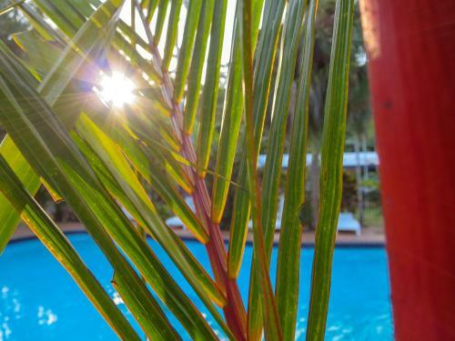 Mission Beach Hideaway Holiday Village