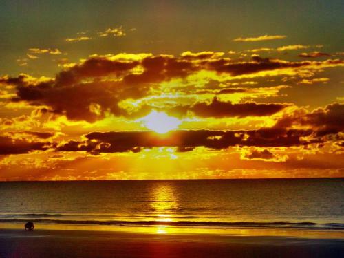 Mission Beach Hideaway Holiday Village