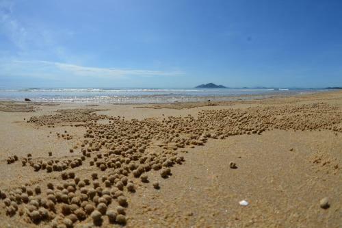 Mission Beach Hideaway Holiday Village