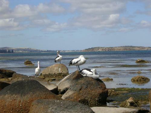 Hostal Yelki By The Sea B&B