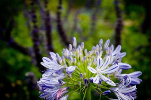 Hostal Yelki By The Sea B&B