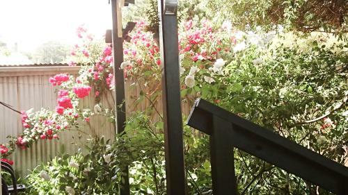 Abelia Cottages Botanical