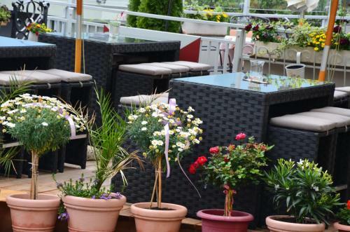 Hostal Gasthof Zur Schmiede