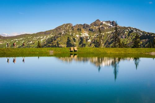 Bed & Breakfast G�stehaus Im Pfarrhof