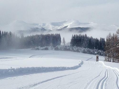Urlaub Im Zirbenland