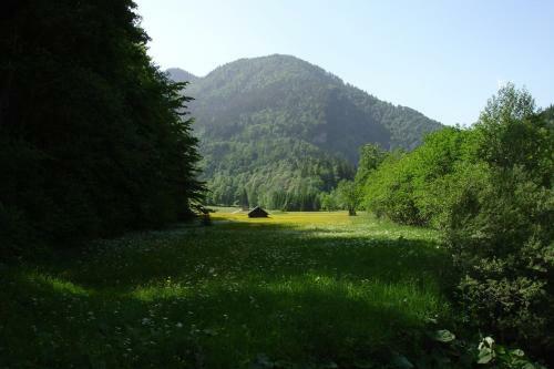 Apartamento Ferienwohnung Bad Ischl Bergblick
