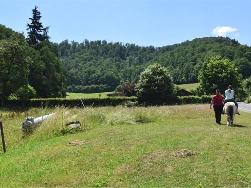 Holiday Home Am Ferienbauernhof IV