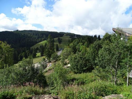 Bed & Breakfast Berghotel J�germatt
