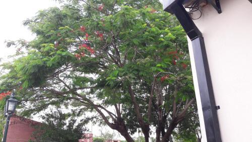 Caba�a Aparts Laguna Limpia