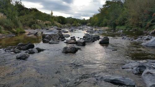 Lodge Buenavista Caba�as