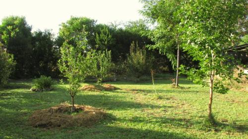 Caba�a Estilo Natural Los Acantilados