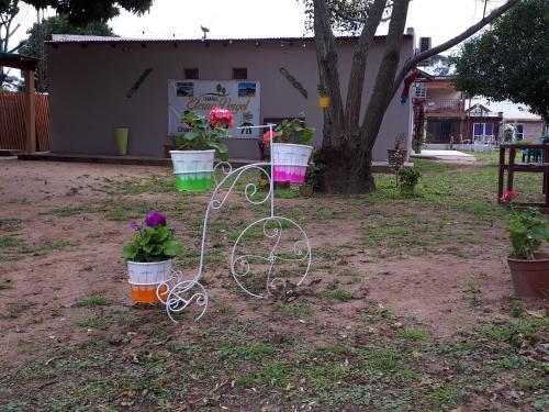 Caba�a Aparts Laguna Limpia
