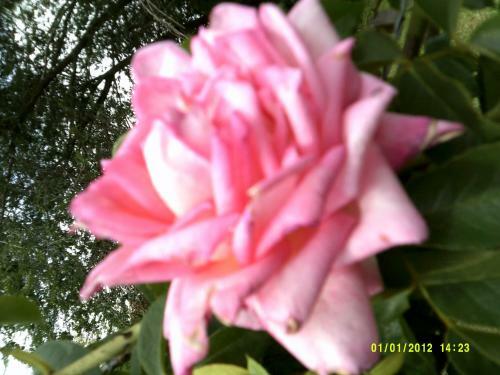 Apartamento Las 4 Estrellas Rojas