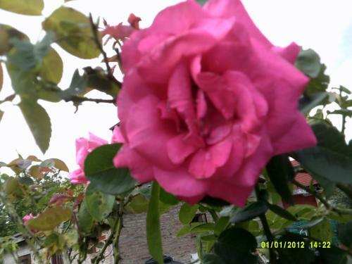 Apartamento Las 4 Estrellas Rojas