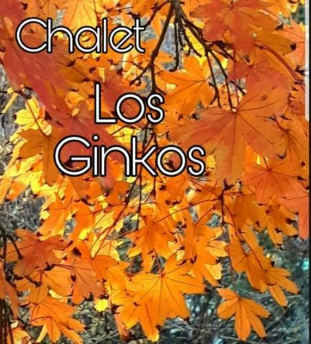Lodge Posada Del Halc�n - Caba�as Y Suites