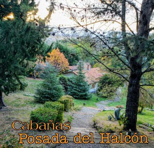 Lodge Posada Del Halc�n - Caba�as Y Suites