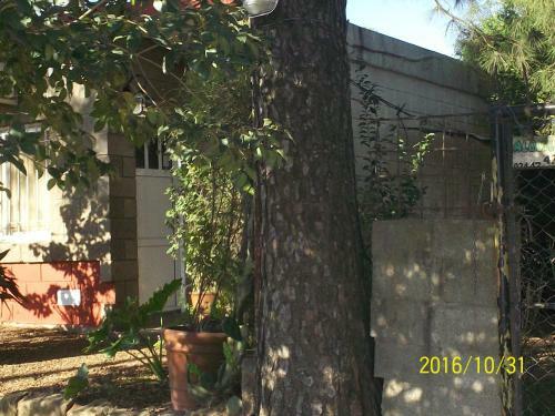 La Casa De Los Pinos