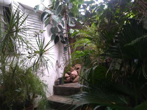 La Casa De Los Pinos