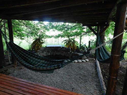 Apartamento La Casa Del Arbol