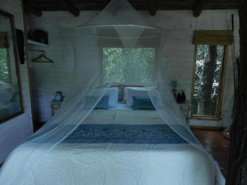 Apartamento La Casa Del Arbol