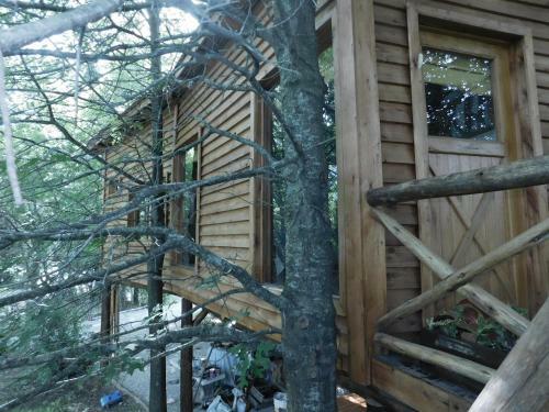 Apartamento La Casa Del Arbol