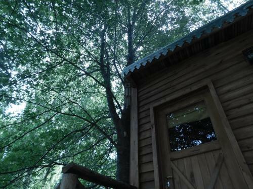 Apartamento La Casa Del Arbol