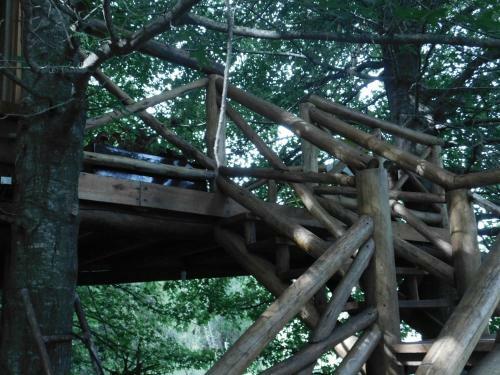 Apartamento La Casa Del Arbol