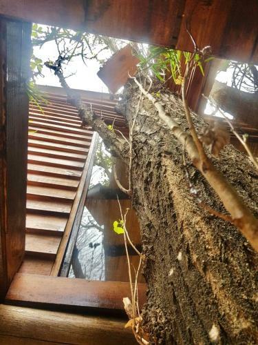 Apartamento La Casa Del Arbol