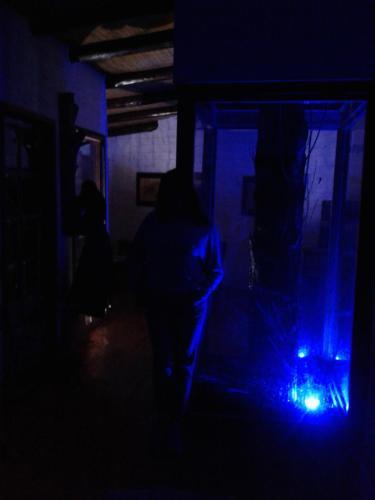 Apartamento La Casa Del Arbol