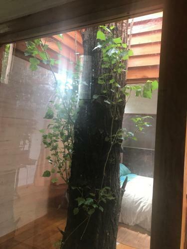 Apartamento La Casa Del Arbol