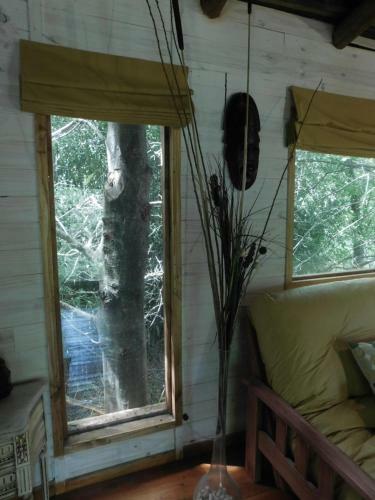 Apartamento La Casa Del Arbol