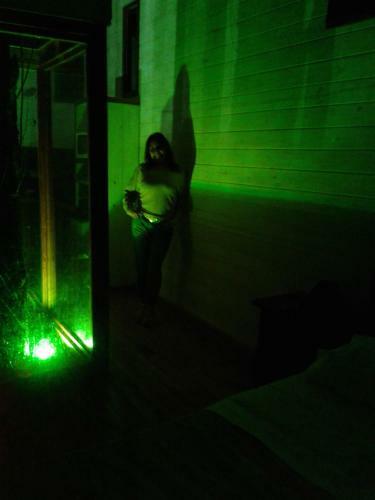 Apartamento La Casa Del Arbol