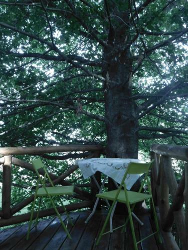 Apartamento La Casa Del Arbol