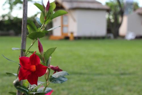 Agroturismo Raices Chivilcoy
