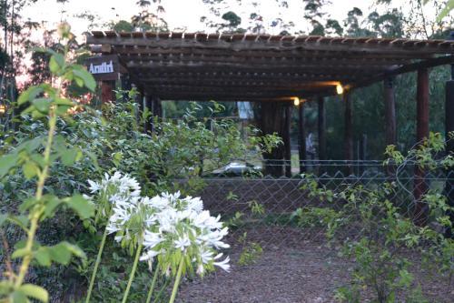 Posada Aratiri Caba�as, Un Lugar En El Bosque..