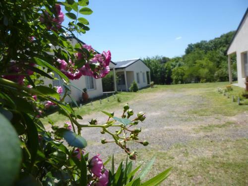 Apartamento Bungalows Curup�