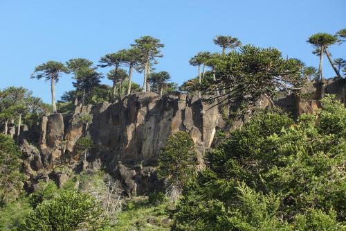 Paraiso De Monta�a