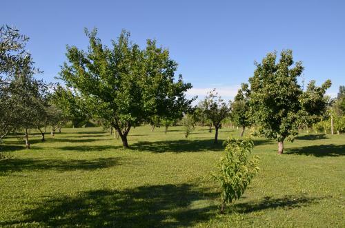 Apartamento Finca Fisterra