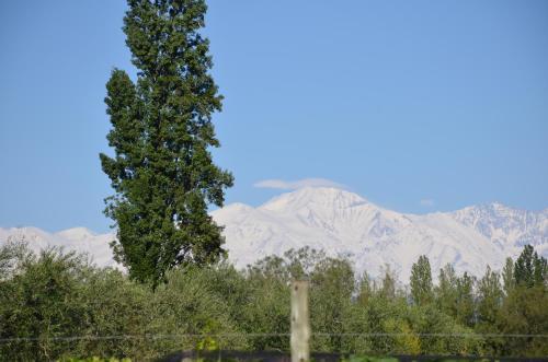 Apartamento Finca Fisterra