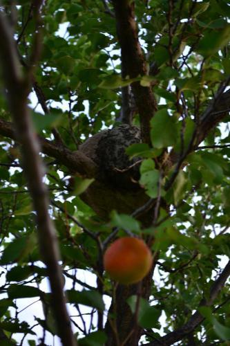 Apartamento Finca Fisterra