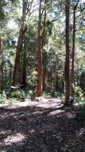 Elebanah Luxury Camping