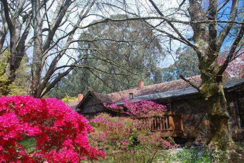 Rocky Creek Art Garden B&B
