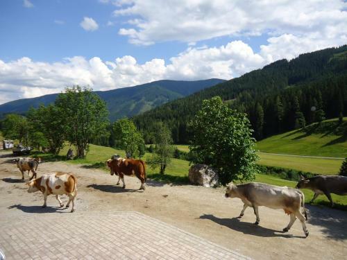 Agroturismo Gsenghof