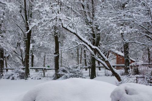 B&B Het Groote Genoegen