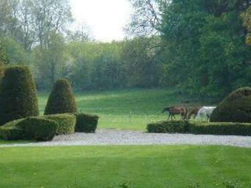 Le Clos Du Chateau