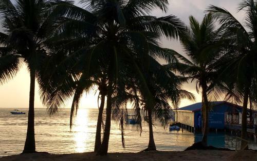 Hotel The Palapa House